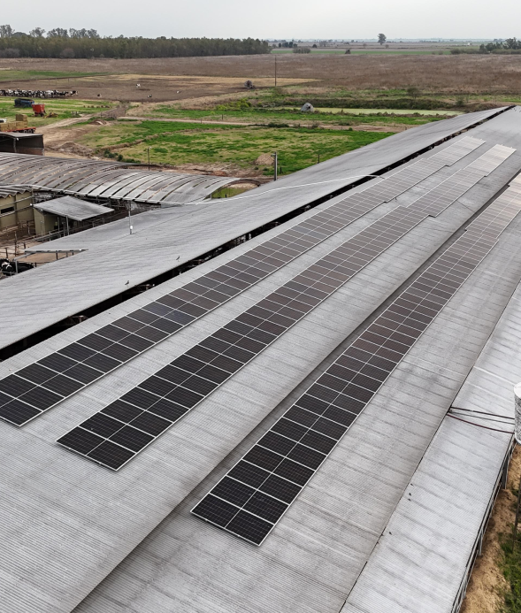 Produccion primaria 3